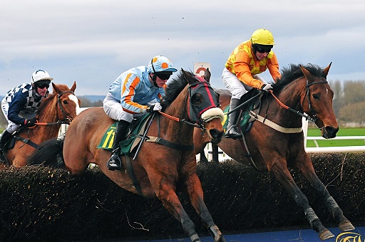 Photo of horses racing for Clarity Care Consulting Charity Rce Night