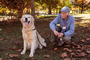 An elderly man looking his pet dog